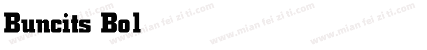 Buncits Bold字体转换